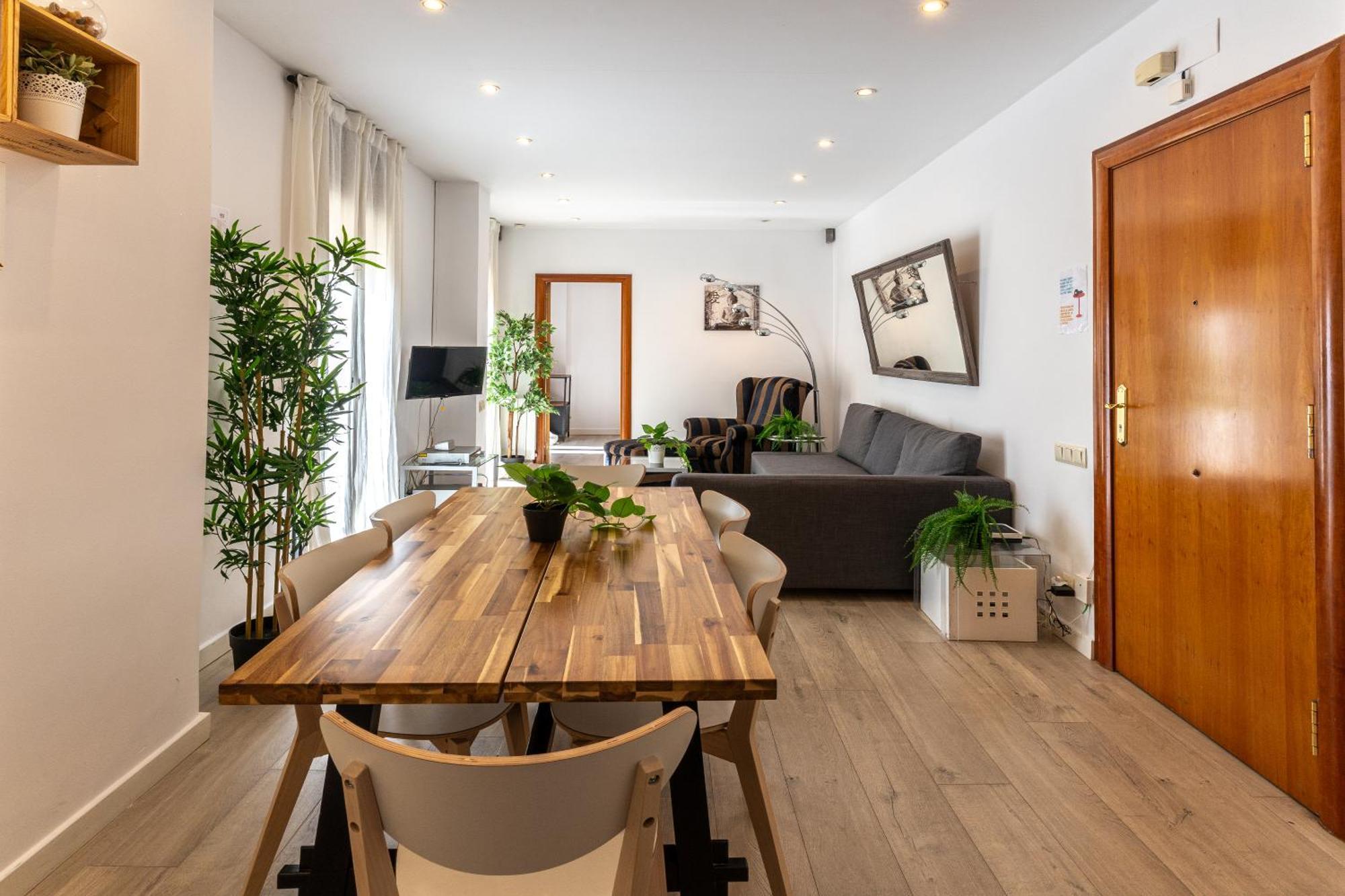 Appartement Magnifico En El Centro
